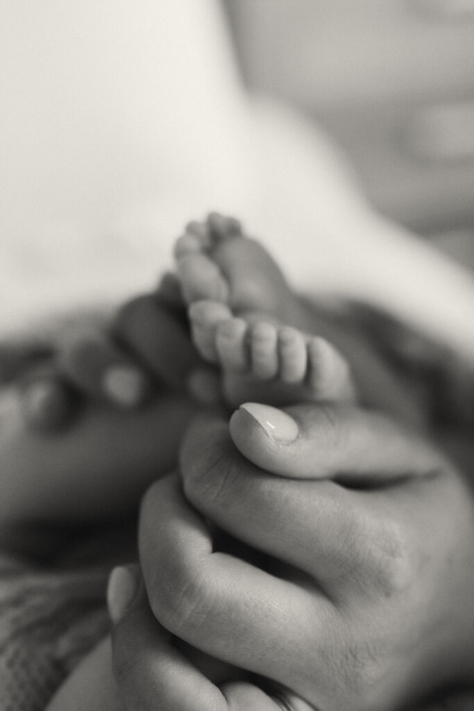 Close up of newborn baby feet